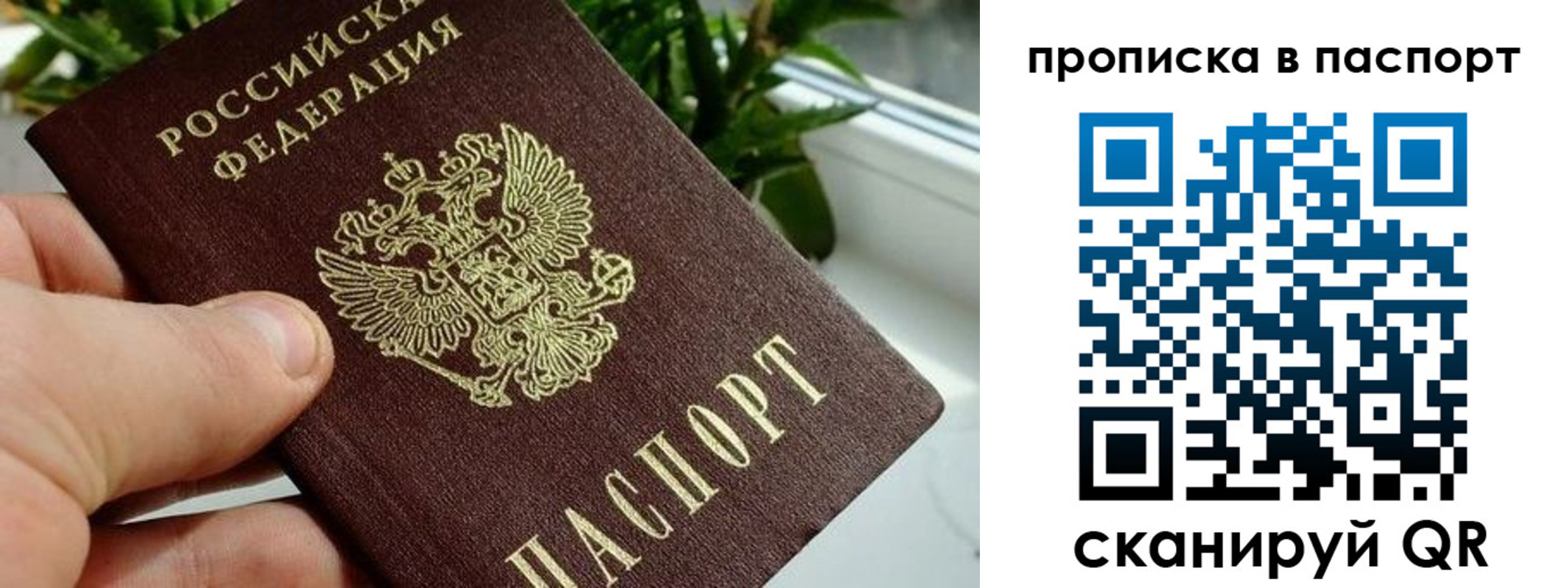 временная регистрация купить в Дятьково